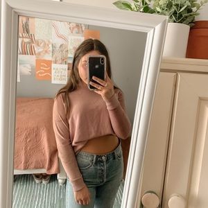 american eagle velvet sleeve sweatshirt